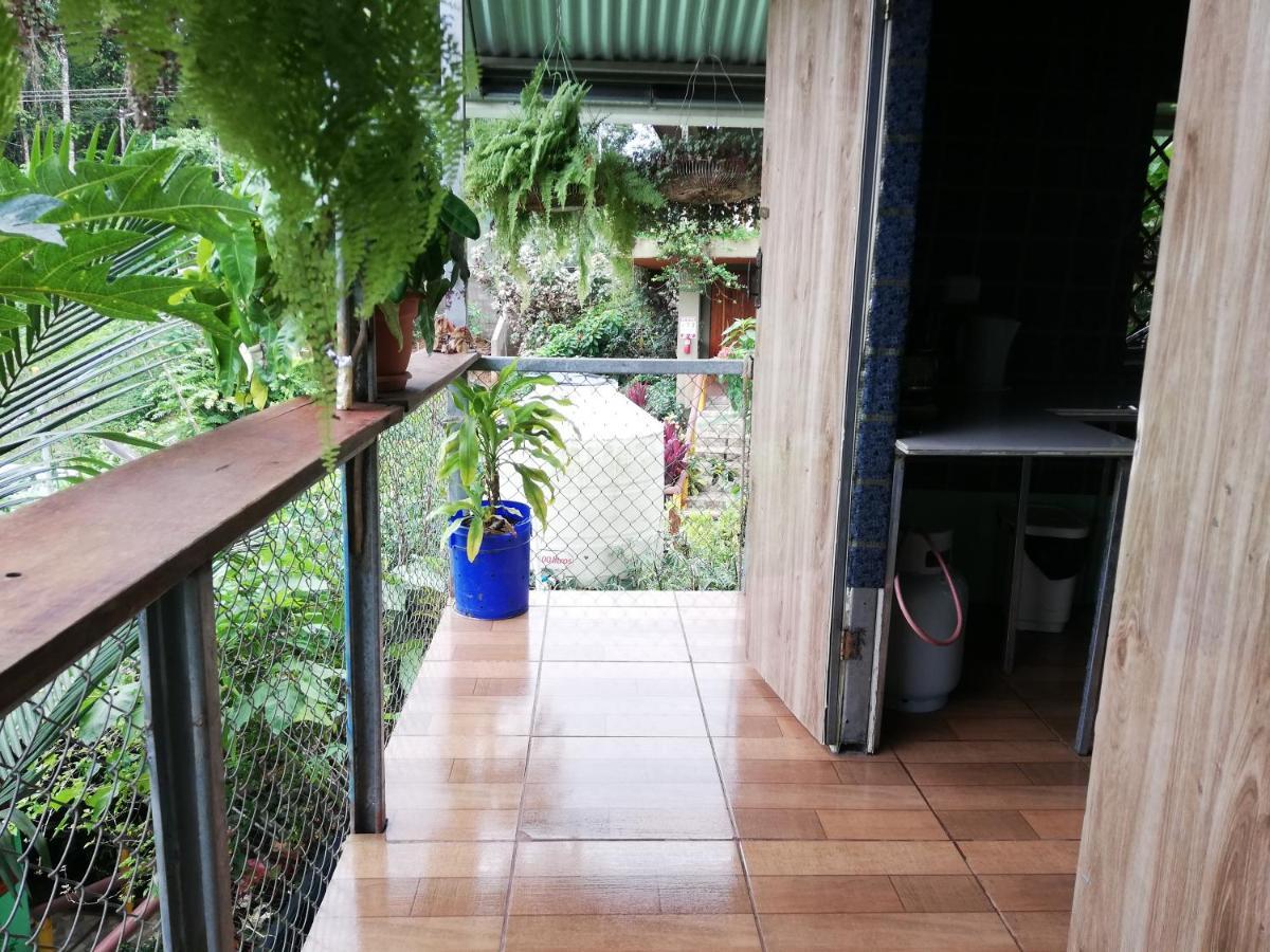 Casita Tangara Con Balcon Y Agua Caliente Apartment Drake Bay Bilik gambar