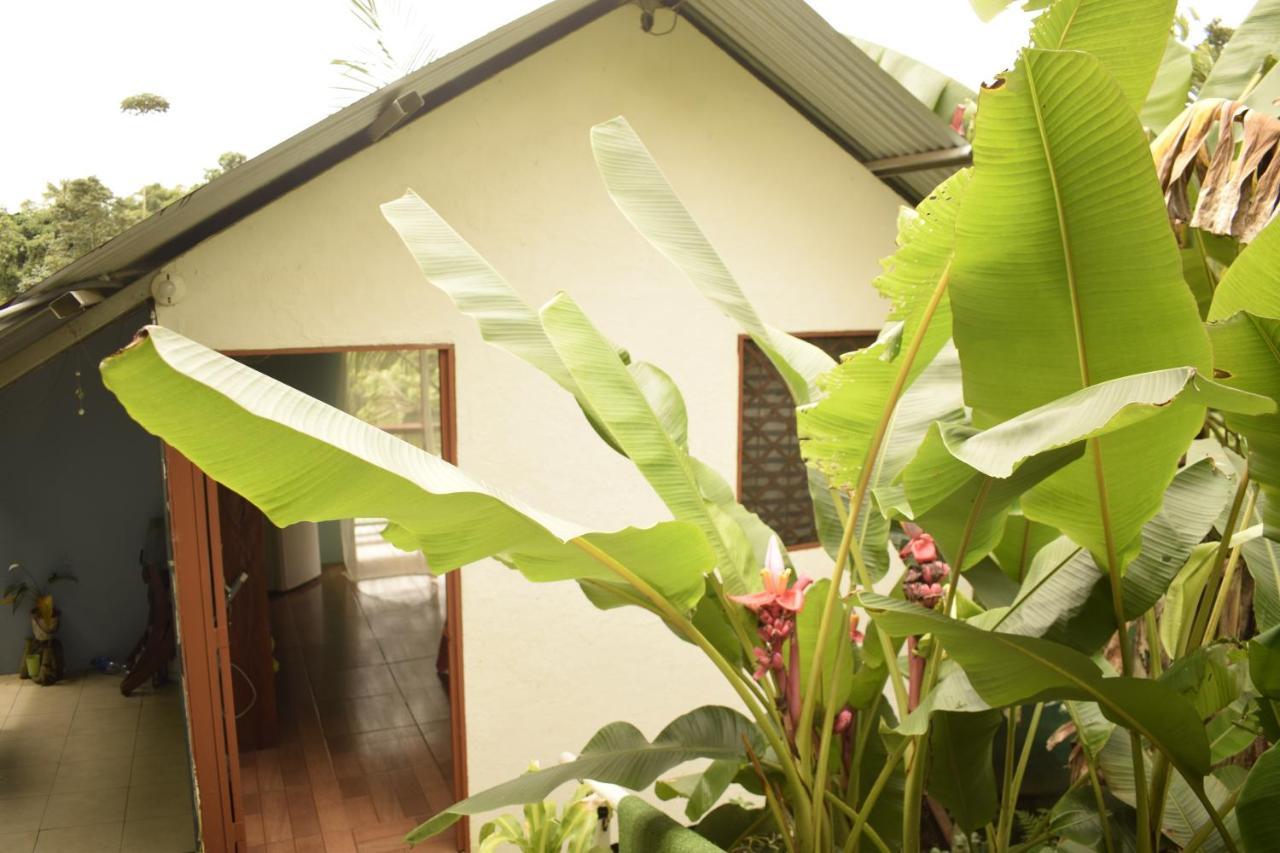 Casita Tangara Con Balcon Y Agua Caliente Apartment Drake Bay Luaran gambar